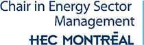 Chair in Energy Sector Management